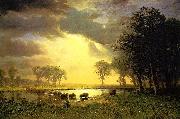 Albert Bierstadt The_Buffalo_Trail France oil painting artist